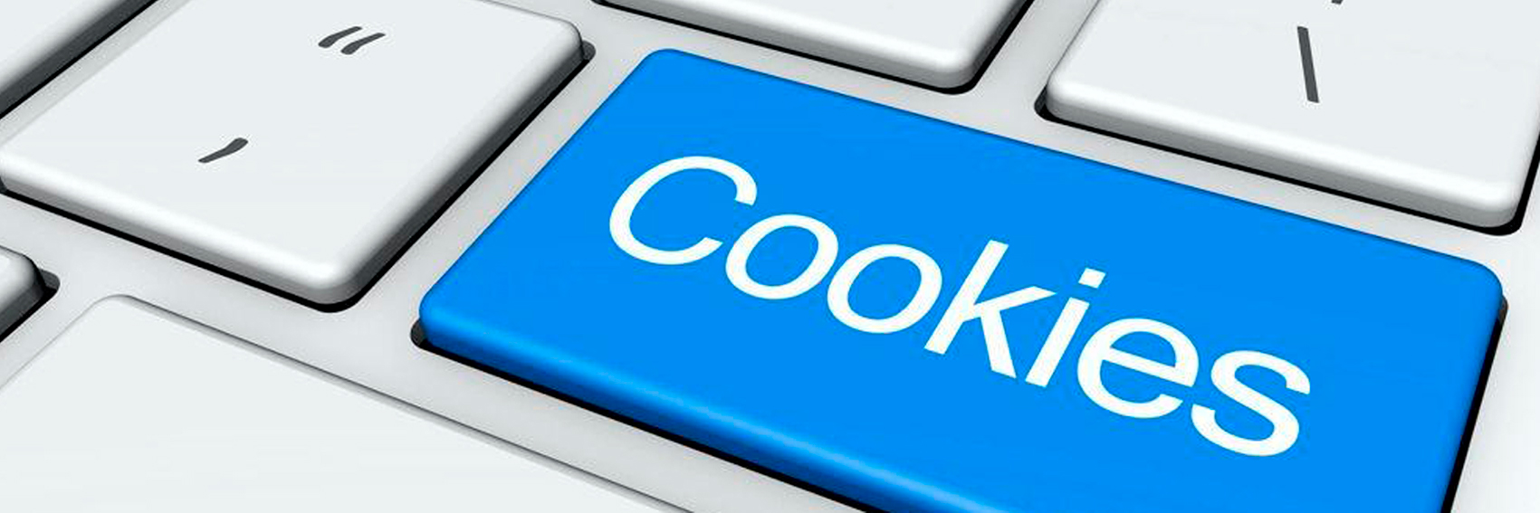 Cookies Policy Rent Bike Palma Mallorca